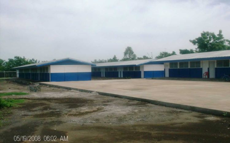 Escuela Divino Niño