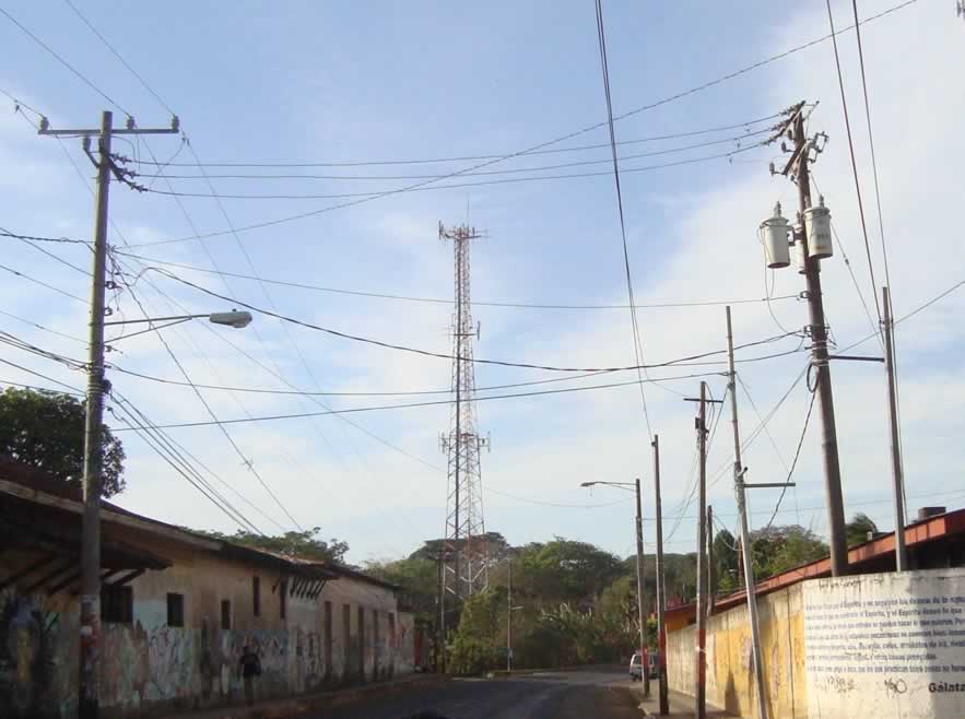 curc-carazo-01