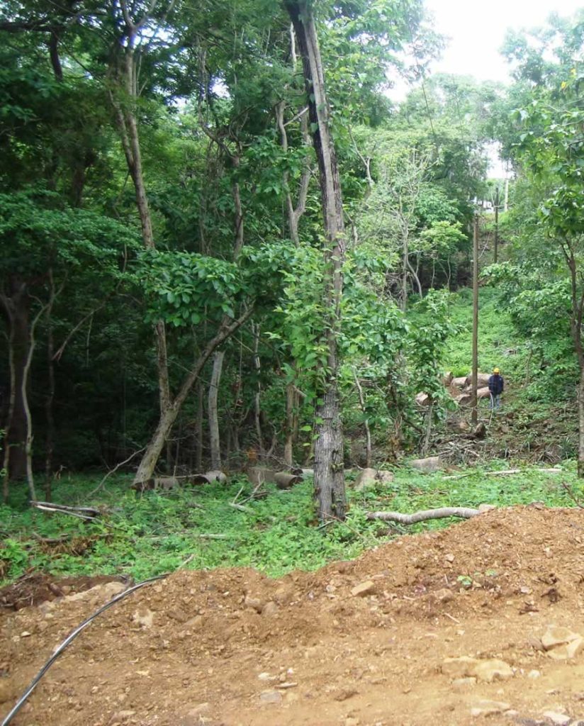 guacalito-de-la-isla-zona-de-golf-11